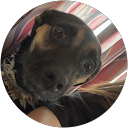 Aubrey marie profile picture